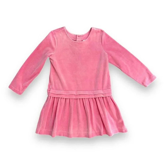 Hanna Andersson | Bundle of Long Sleeve Dresses (5) 💜💗 - Picture 2 of 12